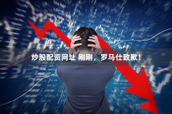 炒股配资网址 刚刚，罗马仕致歉！