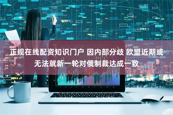 正规在线配资知识门户 因内部分歧 欧盟近期或无法就新一轮对俄制裁达成一致