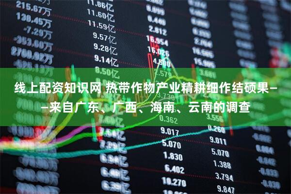 线上配资知识网 热带作物产业精耕细作结硕果——来自广东、广西、海南、云南的调查